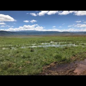 Meet your Posher, Peyton